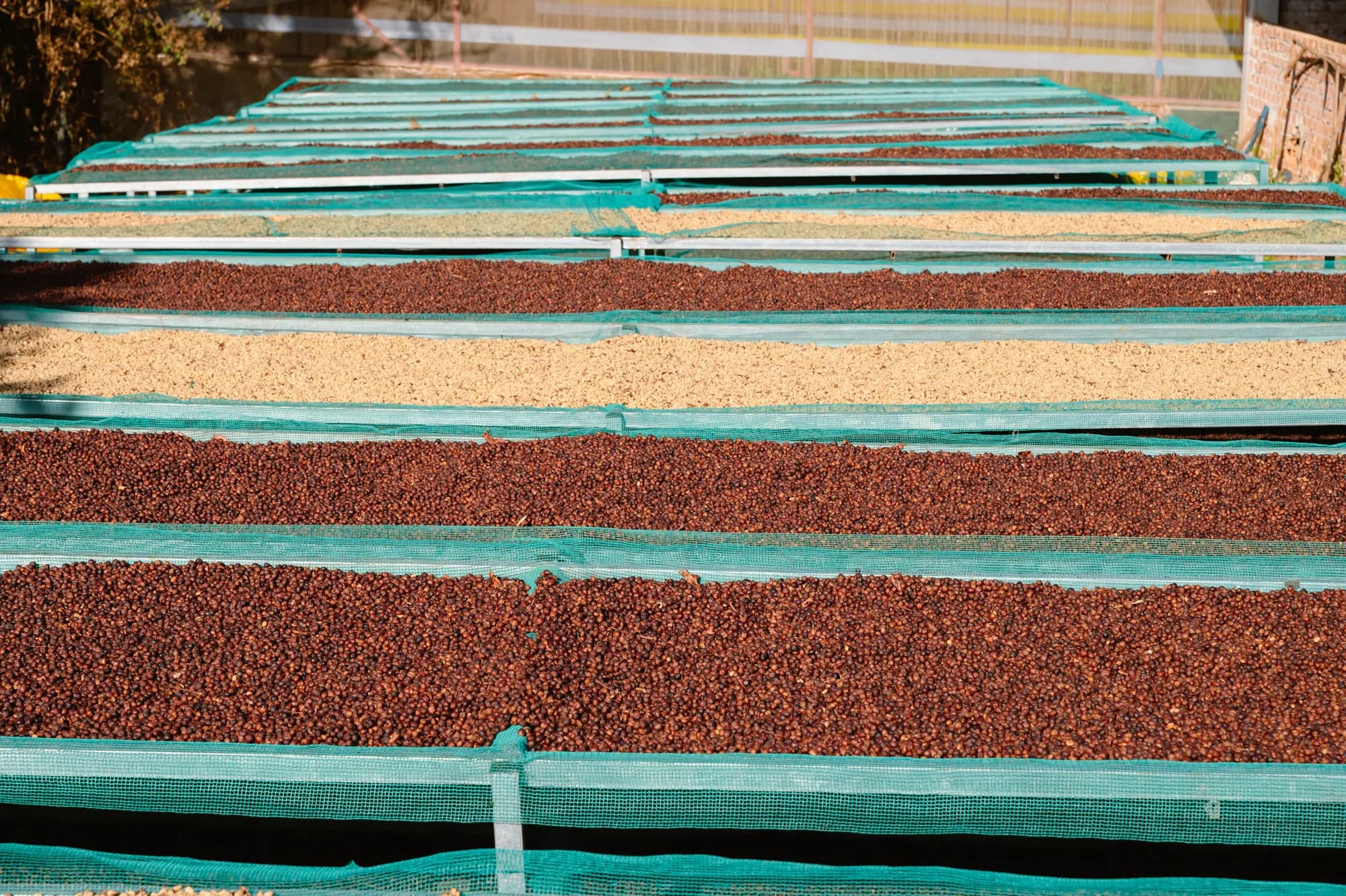 Turning parchment on open-air beds