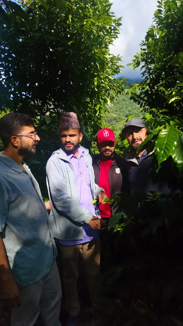 Members of Parliament and the project team examining coffee plants at Lumpek